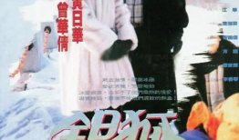 电视剧银狐,传奇人生，风云变幻