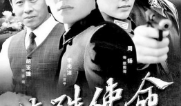 电视剧特殊使命演员表,实力派齐聚演绎谍战风云