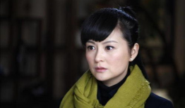 戴娇倩主演的电视剧大全,演绎人生百态，展现情感魅力