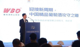 国产精品论坛,聚焦创新，共筑辉煌未来