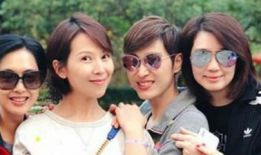 陈法蓉电视剧,美丽与智慧的银幕传奇