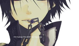 日本男男动漫,日本男男动漫的浪漫画卷