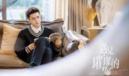 遇见璀璨的你电视剧免费观看,免费解锁，共赴浪漫邂逅之旅