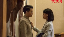 电视剧爱国者剧情介绍,烽火岁月里的热血传奇