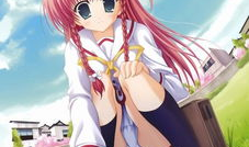 动漫美女内衣内裤,时尚与诱惑的完美融合