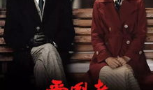 电视剧爱国者剧情介绍,烽火岁月里的热血传奇