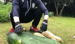 最新的吃瓜爆料是什么,神秘事件真相大揭秘！