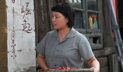 普超英演过的电视剧,从经典剧集到荧幕传奇