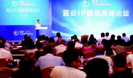 国产精品论坛,聚焦创新，共筑辉煌未来