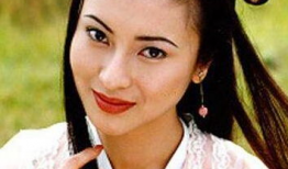 电视剧银狐,传奇人生，风云变幻