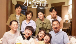 小学电视剧,走进小学电视剧的奇幻世界