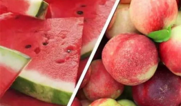 吃瓜爆料17c蘑菇招商,揭秘绿色产业新风口