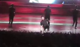 绳艺动漫,探索束缚与自由的视觉艺术之旅