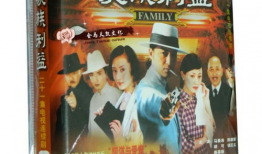 家族 电视剧,百年传承的荣耀与挑战