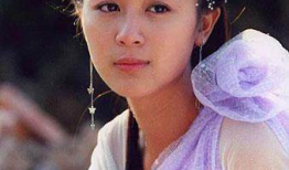 唐宁演过的电视剧,从古装佳人到现代都市女性的华丽蜕变