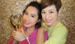 陈法蓉电视剧,美丽与智慧的银幕传奇