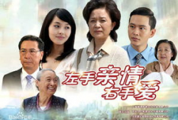 电视剧左手亲情右手爱,情感纠葛中的家庭抉择